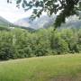 20260606_11280805.jpg