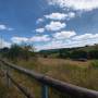 dji_20260724133345_0051_d.jpg