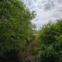dji_20260516121408_0016_d.jpg