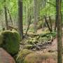 20260521_14495033.jpg