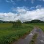dji_20260514113021_0079_d.jpg