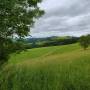 dji_20260612130251_0092_d.jpg