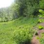 20260521_14565945.jpg