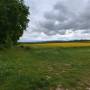 dji_20260506120248_0050_d.jpg