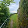 dji_20260513194651_0165_d.jpg