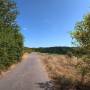 dji_20260725144313_0037_d.jpg