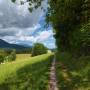 dji_20260608130639_0079_d.jpg