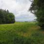 20260521_11305306.jpg