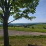 dji_20260510111403_0049_d.jpg