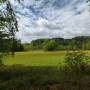 dji_20260521113136_0011_d.jpg