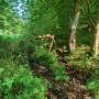 dji_20260510105529_0016_d.jpg