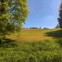 dji_20260523123943_0035_d.jpg