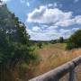 dji_20260724131245_0027_d.jpg