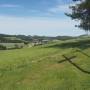 20260604_15572659.jpg