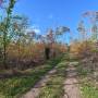 dji_20261023125644_0010_d.jpg