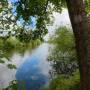 dji_20260507124518_0048_d.jpg
