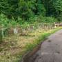 dji_20260514113817_0090_d.jpg