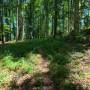 dji_20260604121311_0071_d.jpg