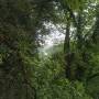 20260518_16330736.jpg