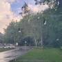 20260613_074409.jpg