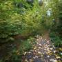 dji_20261025113228_0123_d.jpg