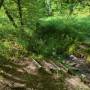 dji_20260510105538_0017_d.jpg