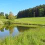 20260522_160303104.jpg