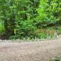 20260519_13574806.jpg