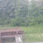 20260506_080803.jpg