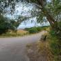 dji_20260726143231_0065_d.jpg