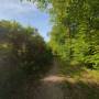 dji_20260510105856_0027_d.jpg