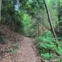 dji_20260605193558_0084_d.jpg