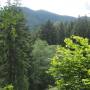 20260607_12275025.jpg