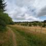 dji_20260726144631_0086_d.jpg