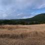 dji_20260726183817_0159_d.jpg