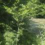 20260611_12460749.jpg