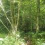 20260611_12414441.jpg