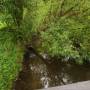 dji_20260507125843_0061_d.jpg