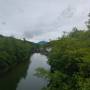 dji_20260610115616_0004_d.jpg