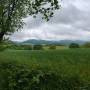dji_20260514105916_0048_d.jpg