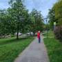 dji_20260504214128_0047_d.jpg