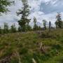 dji_20260505120659_0111_d.jpg