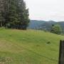20260606_14012753.jpg