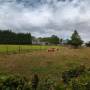 dji_20260726131414_0004_d.jpg