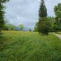 dji_20260612185117_0180_d.jpg