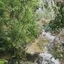 20260611_12192923.jpg