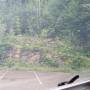 20260612_075402.jpg