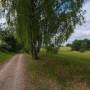 dji_20260521113506_0017_d.jpg