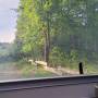 20260510_080032.jpg