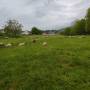 dji_20260505164140_0240_d.jpg